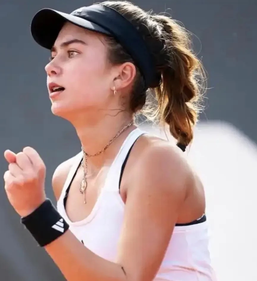 规则解释 规则解释